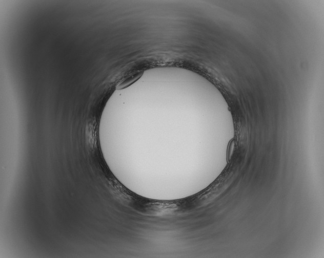 X0000113030719200909171501