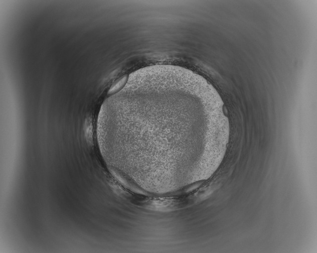 X0000113030720200909171501