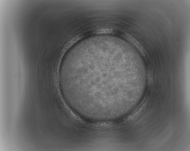 X0000113030721200909171500