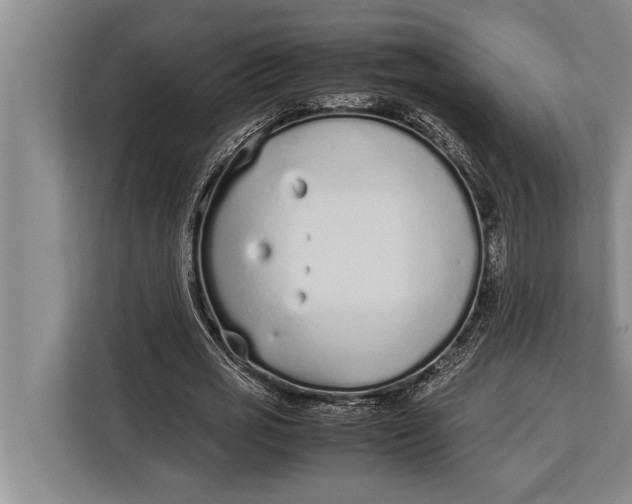 X0000113030725200909171500