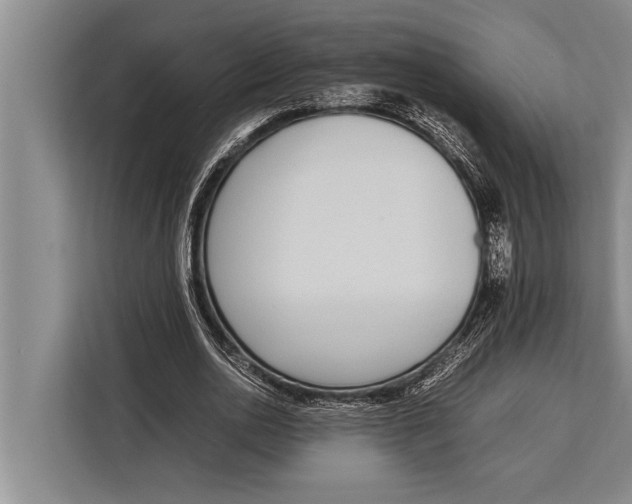 X0000113030726200909171500