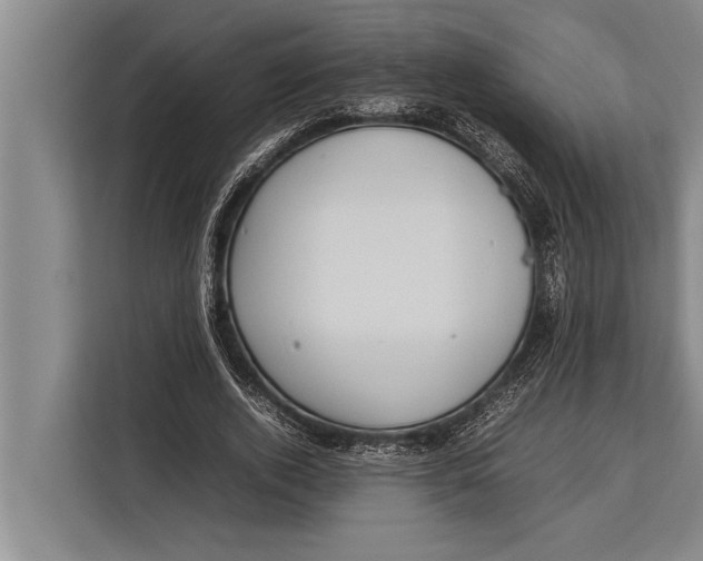 X0000113030728200909171500