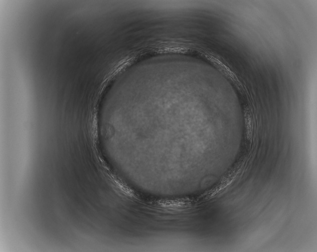 X0000113030729200909171500