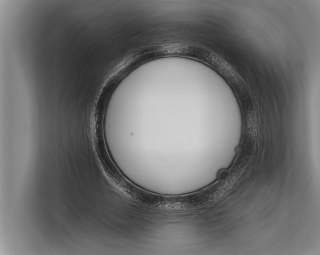 X0000113030730200909171500