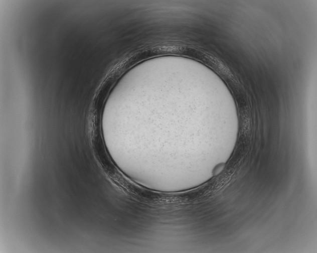 X0000113030736200909171500