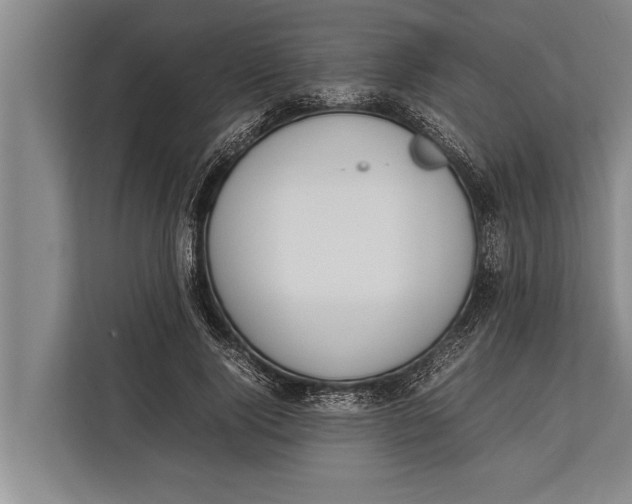 X0000113030740200909171500