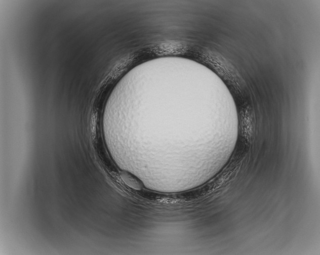 X0000113030742200909171500