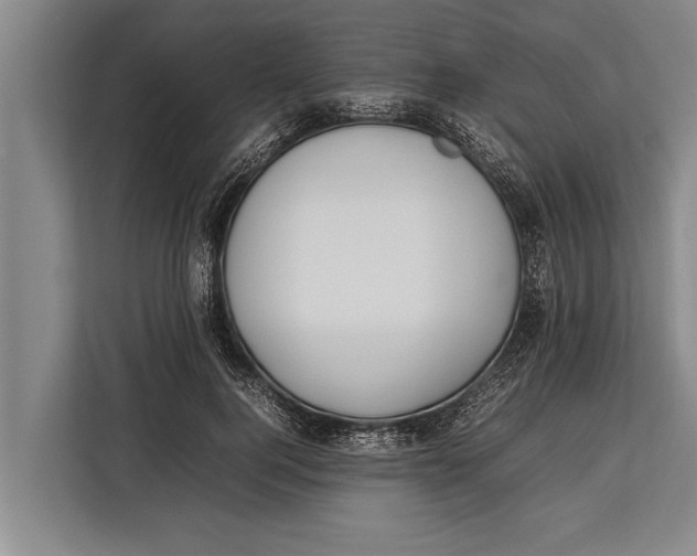 X0000113030744200909171500