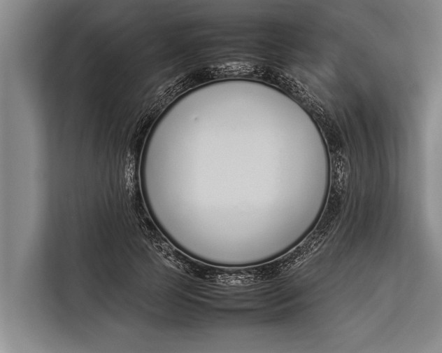 X0000113030745200909171500