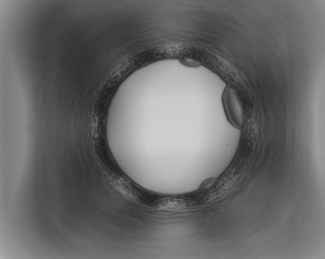 X0000113030750200909171501