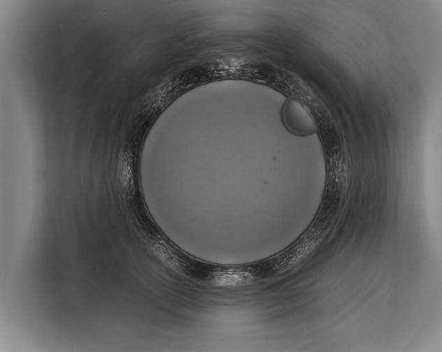 X0000113030754200909171501