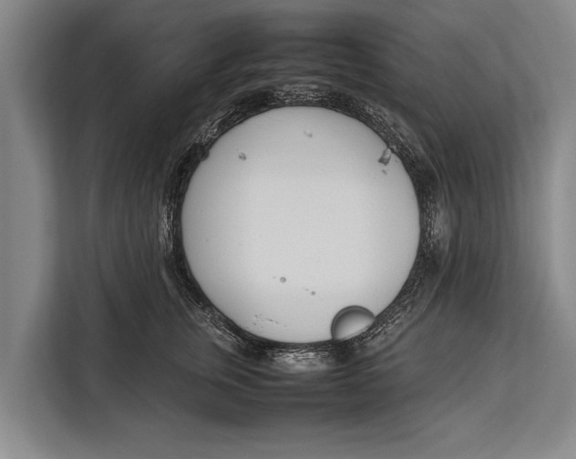 X0000113030759200909171501