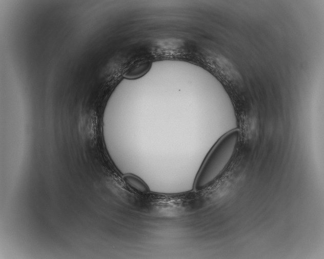 X0000113030760200909171501