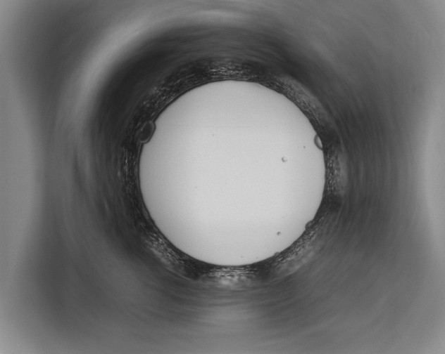 X0000113030762200909171501