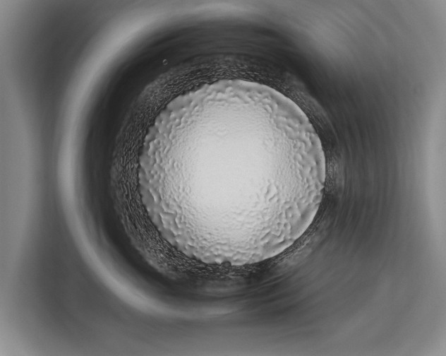 X0000113030765200909171501