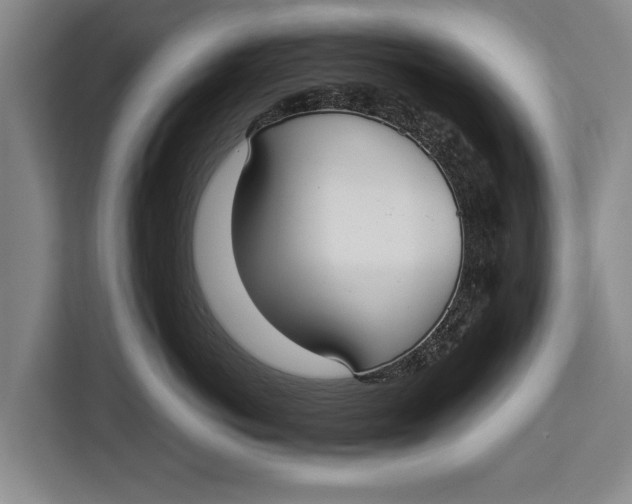 X0000113030766200909171501