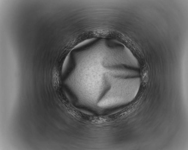 X0000113030772200909171500