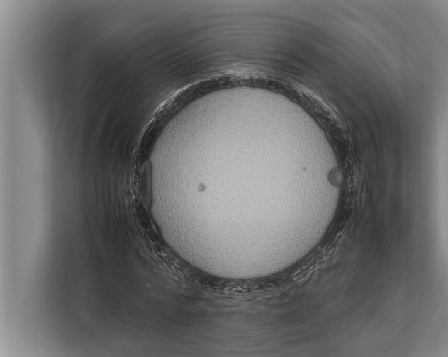 X0000113030776200909171500