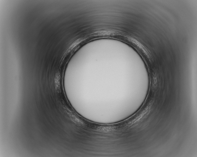 X0000113030778200909171500