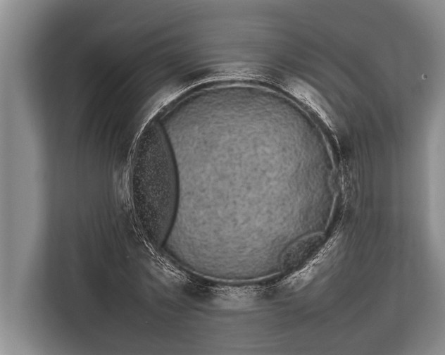 X0000113030781200909171500