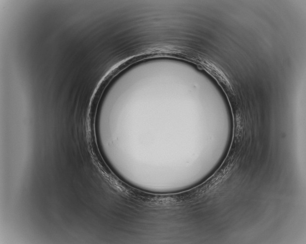 X0000113030784200909171500