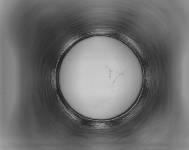 X0000113030794200909171500