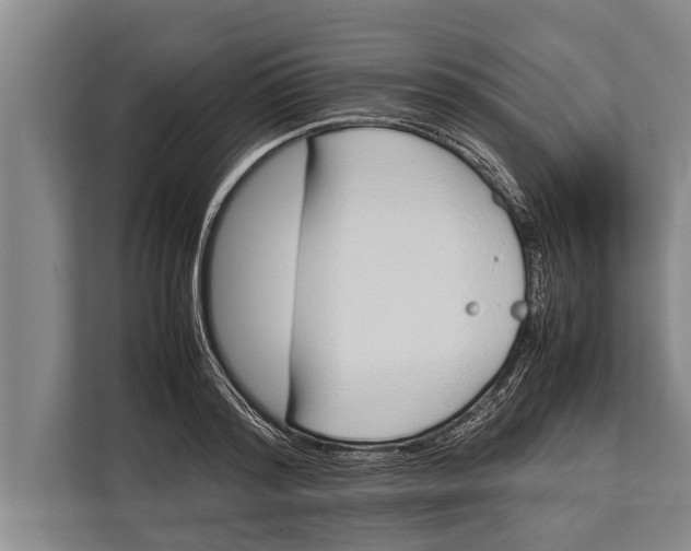 X0000113030796200909171500