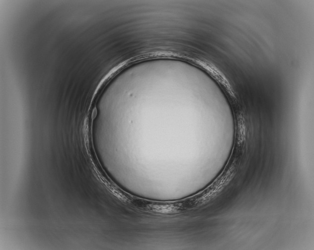 X0000113030798200909171500