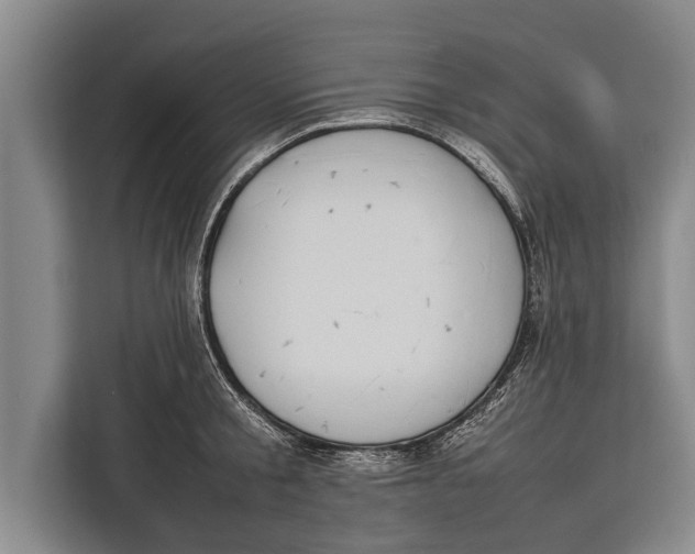 X0000113030805200909171500