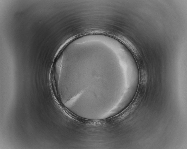 X0000113030806200909171500