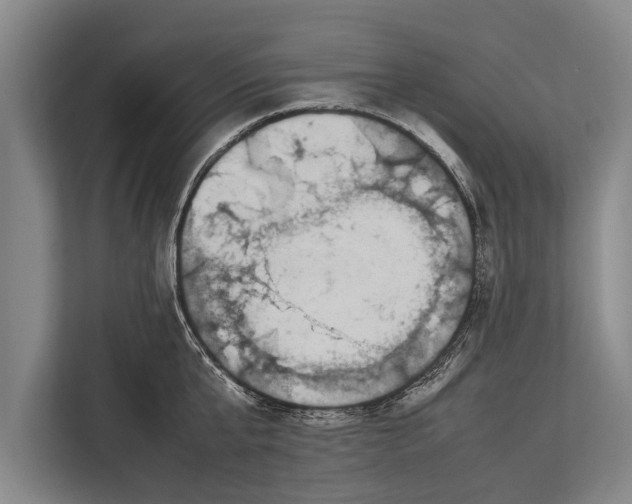 X0000113030807200909171500