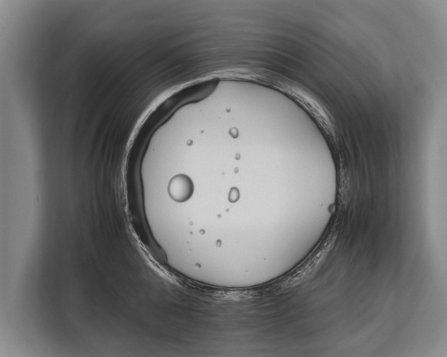 X0000113030808200909171500