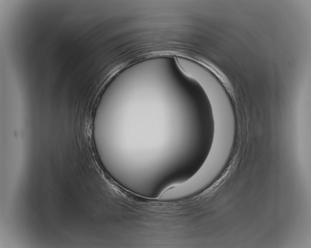 X0000113030809200909171500