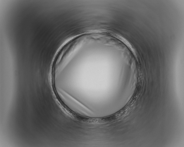 X0000113030811200909171500