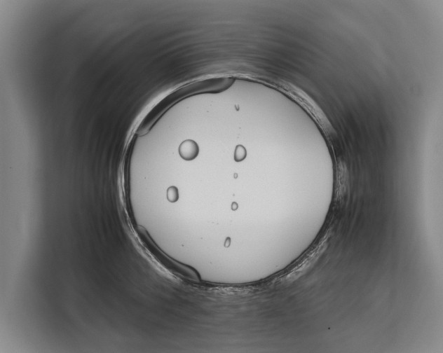 X0000113030812200909171500