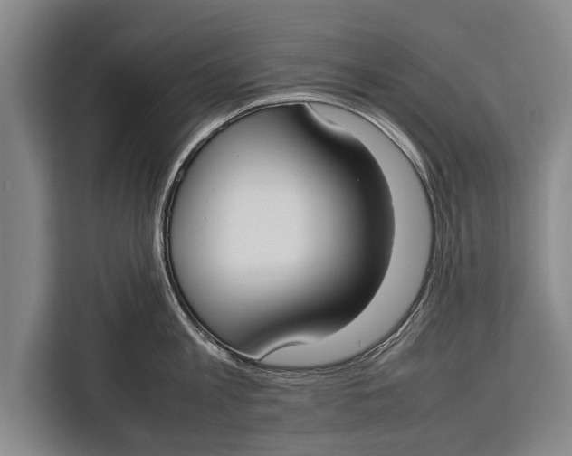 X0000113030813200909171500