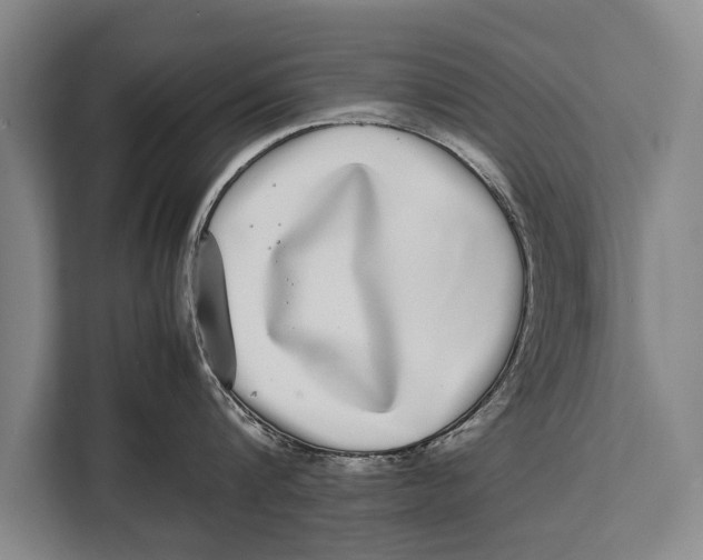 X0000113030816200909171500