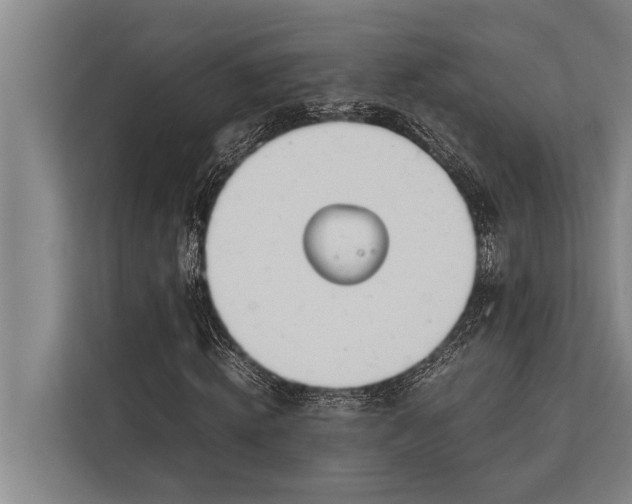 X0000113030820200909171459