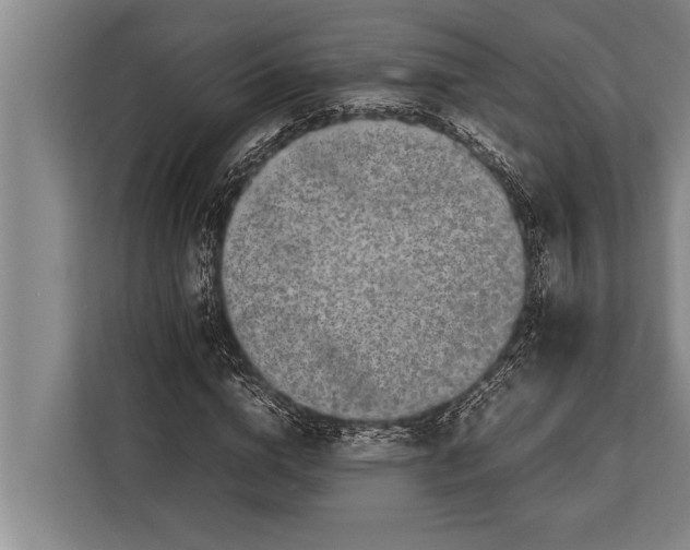 X0000113030824200909171459