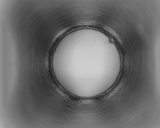 X0000113030826200909171459