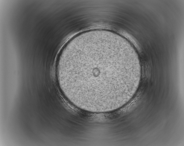 X0000113030828200909171459