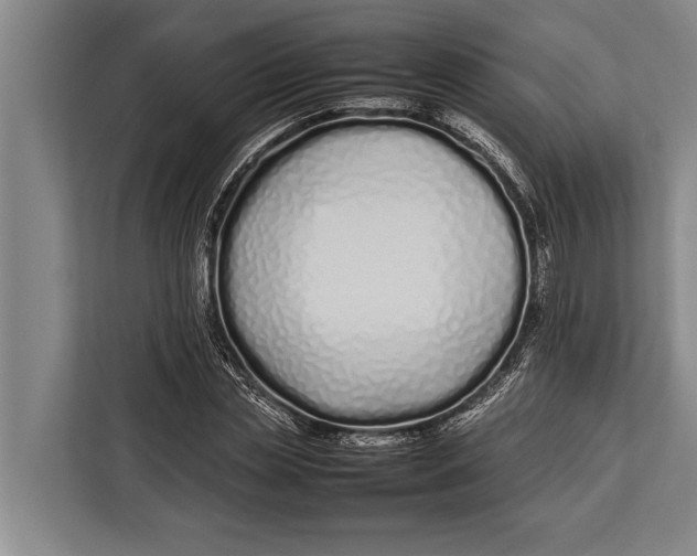 X0000113030829200909171459