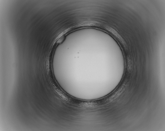 X0000113030834200909171459