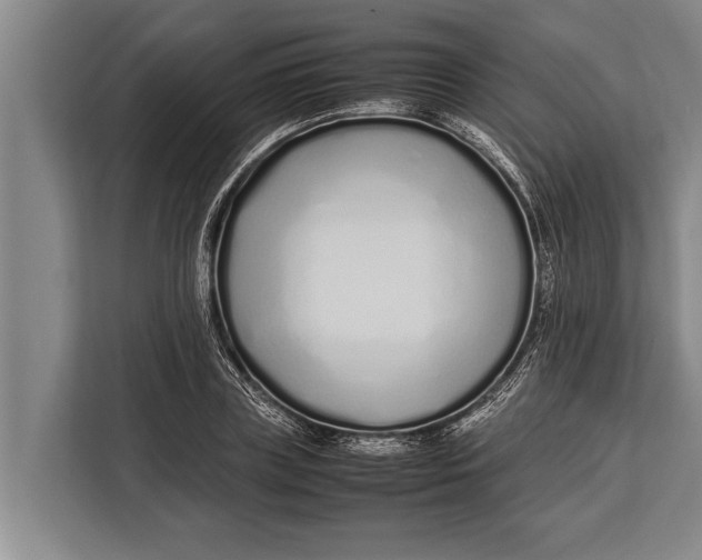 X0000113030835200909171459