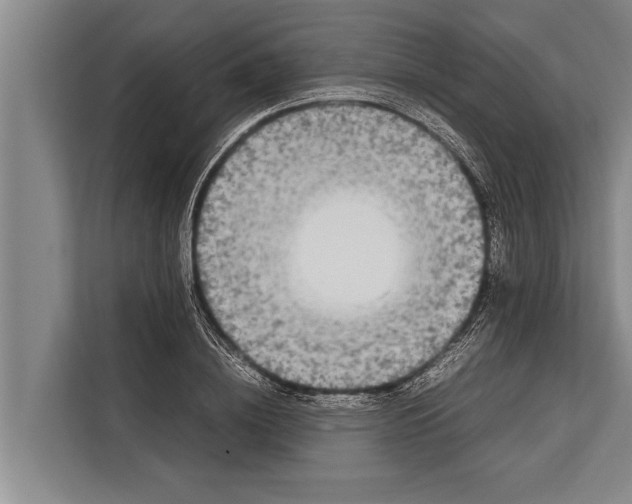 X0000113030836200909171459