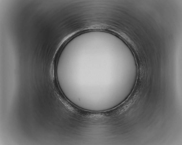 X0000113030838200909171459