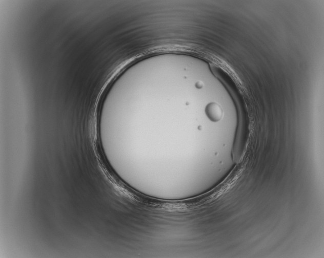 X0000113030844200909171459