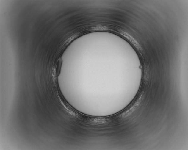 X0000113030849200909171459