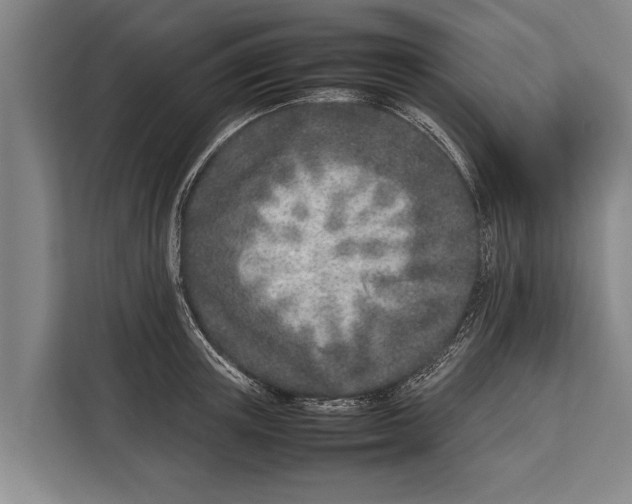 X0000113030851200909171459