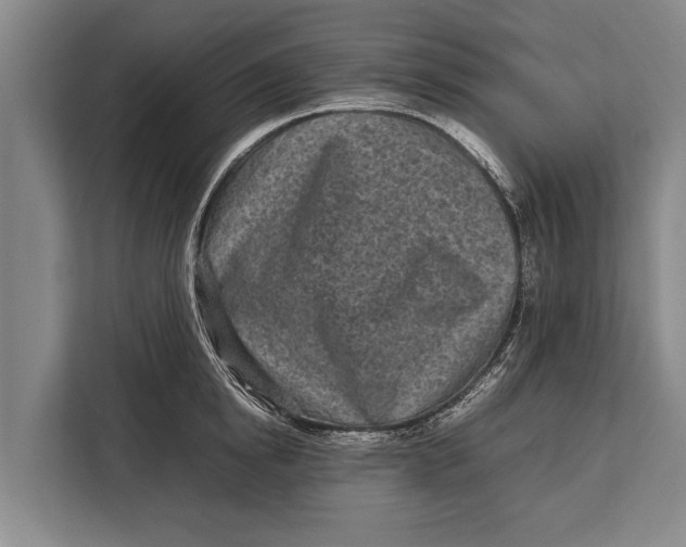 X0000113030854200909171459